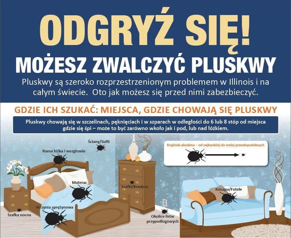 Czy pluskwy przechodzą z mieszkania do mieszkania? Sprawdź, jak się chronić Czy pluskwy przechodzą z mieszkania do mieszkania? Sprawdź, jak się chronić