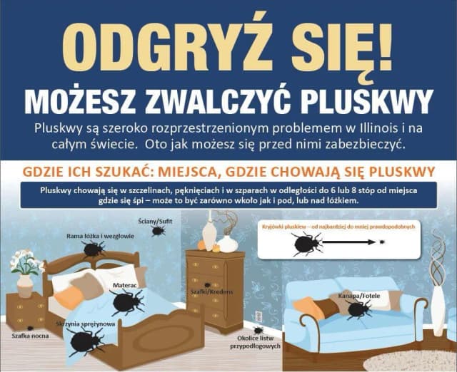 Czy pluskwy przechodzą z mieszkania do mieszkania? Sprawdź, jak się chronić Czy pluskwy przechodzą z mieszkania do mieszkania? Sprawdź, jak się chronić